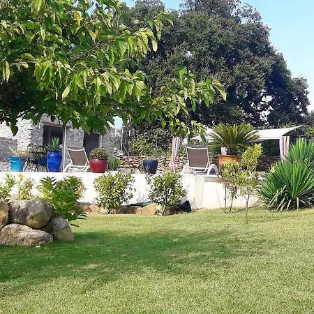 De 3 Chambres Avec Piscine Partagee Jardin Clos Et Wifi A Oletta A 4 Km De La Villa Oletta (Corsica)