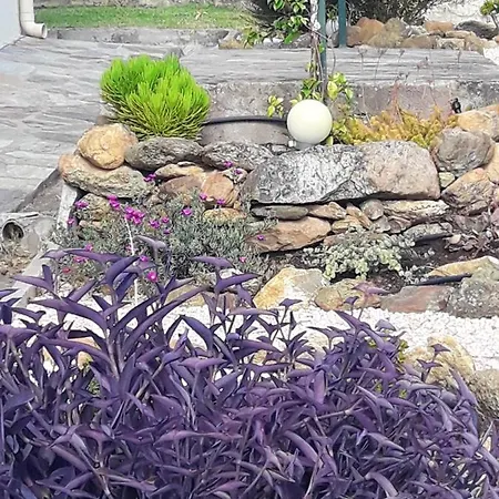 De 3 Chambres Avec Piscine Partagee Jardin Clos Et Wifi A Oletta A 4 Km De La Villa *