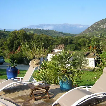 Villa De 3 Chambres Avec Piscine Partagee Jardin Clos Et Wifi A Oletta A 4 Km De La *